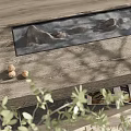 Rustic Wooden Coffee Table With Stone Decorations Green Plant And Sunlight On Light Floor