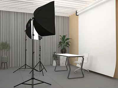 Public Workspace Setup With Softbox Lights White Table Chair And Potted Plant Light Curtains 3d model