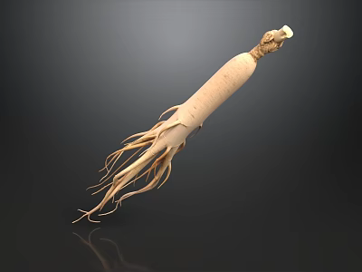 Local Pharmacy Offering Fresh Ginseng Root for Health and Wellness Needs 3d model