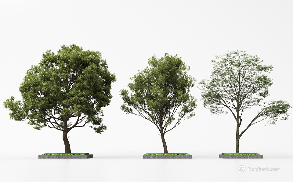 Three Arbor Trees With Varied Crown Shapes And Green Grass Bases 3d model 