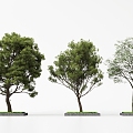 Landscape Trees Garden Trees Trees Trees 3d model