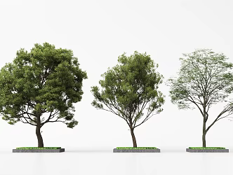 Landscape Trees Garden Trees Trees Trees 3d model