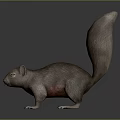 Realistic Brown Fur Squirrel With Long Tail In Standing Posture On Gray Background 3d model