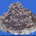 Coral Like Rock Formation With Purple Gray Color And Rough Surface On Blue Background