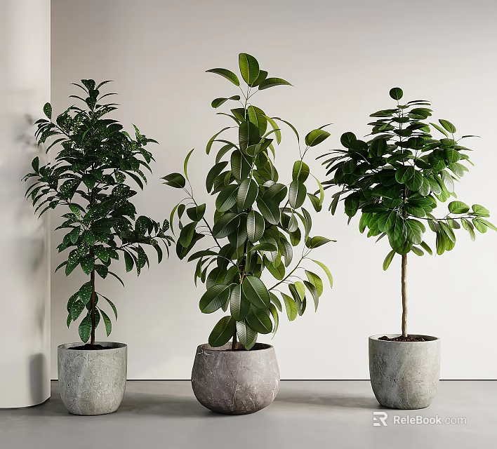 Three Lush Green Bonsai Plants In Gray Pots For Indoor Home Decor 3d model 