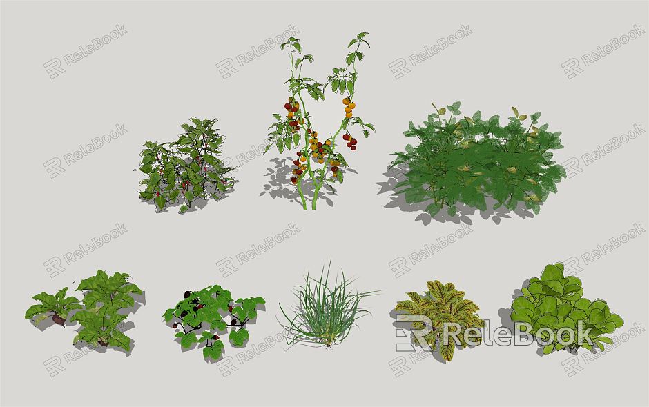 Modern Vegetable Vegetable Planting model