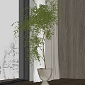 Modern Plant Potted Home Plant Potted Plant 3d model