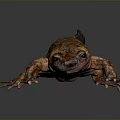 Orange and Black Spotted Lizard with Long Tail on Dark Background