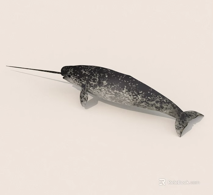 Narwhal Marine Animal With Long Spiral Tusk And Spotted Skin 3d model 