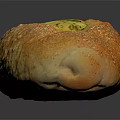 Baked Stuffed Baguette With Green Herb Filling And Sesame Seeds On Black Background