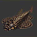 Black and orange spotted striped fish shaped decorative household item with vibrant pattern