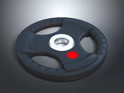 Black Weight Plate With Red Dot And Central Hole For Fitness Equipment 3d model