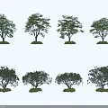 Various Arbor Trees With Different Shapes Green Foliage And Grass At Base 3d model
