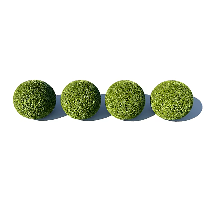 Four Green Spherical Shrubs Neatly Arranged in a Straight Garden Row 3d model