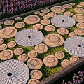 Circular Stepping Stones Path in Garden With Green Grass and Purple Flowers