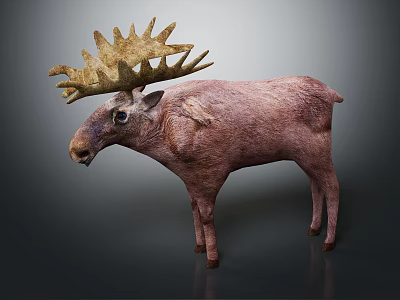 Reindeer With Large Antlers And Brown Body Standing On Grey Background 3d model
