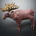 Reindeer With Large Antlers And Brown Body Standing On Grey Background