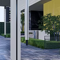 Garden Landscape With Covered Walkway White Pillars Tiled Path Green Shrubs Yellow Wall Black Structure