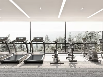 Well Lit Recreation Room With Fitness Equipment And Scenic View 3d model