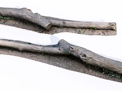 Natural Stone Wood Logs With Moss And Soil For Home Decoration 3d model