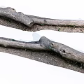 Natural Stone Wood Logs With Moss And Soil For Home Decoration