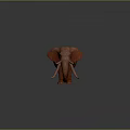 Red Elephant Model With Long Tusks Standing On Dark Background Showing Reflection 3d model
