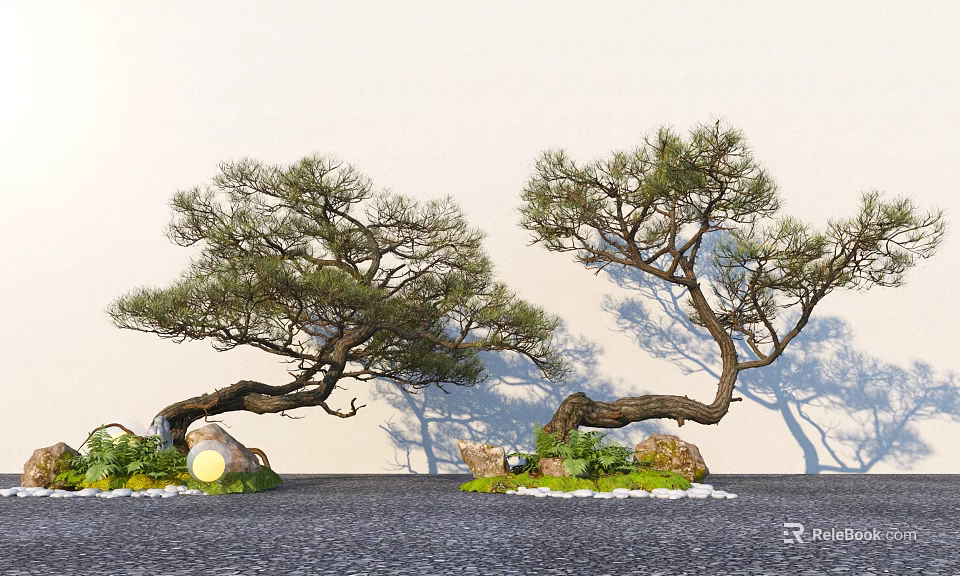 Two Curved Pine Trees With Stones Grass And Small Lights Against White Wall 3d model 
