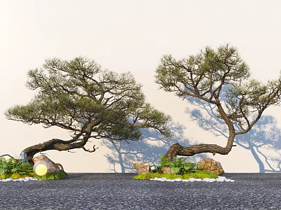Two Curved Pine Trees With Stones Grass And Small Lights Against White Wall 3d model