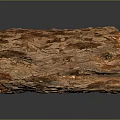 Natural Wooden Log With Cross Section Visible Growth Rings And Detailed Texture On Black Background