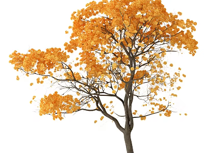 Autumn Arbor With Vibrant Orange Yellow Leaves And Falling Foliage 3d model