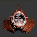 Red Spotted Aquatic Animal With Open Mouth And Unique Fins On Reflective Surface