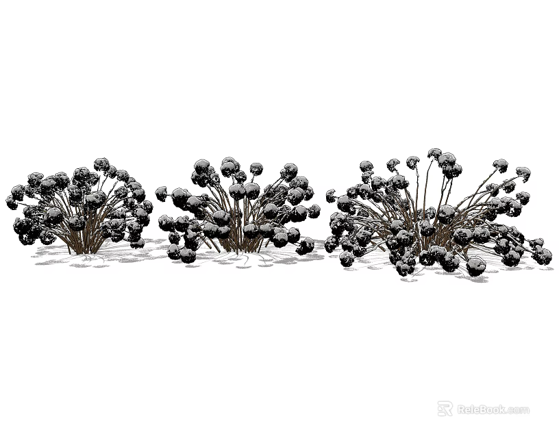 Clump Forming Garden Shrubs With Dense Green Foliage And Black Berries In Landscaping 3d model 