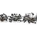 Clump Forming Garden Shrubs With Dense Green Foliage And Black Berries In Landscaping