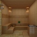 Modern Sauna Room 3d model