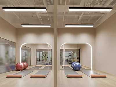 Spa Sauna Space With Yoga Mats And Fitness Balls 3d model
