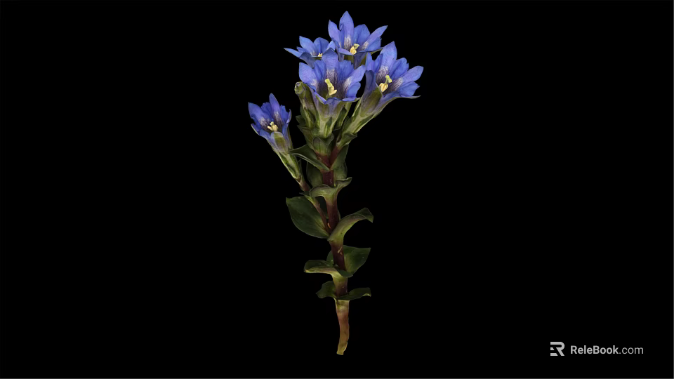 Beautiful Plant With Blue Flowers Green Stems And Leaves On Black Background 3d model 