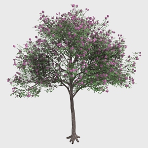 Wind Suzuki Flower Tree Safflower Green Leaf pink Trumpet Flower Magnolia Flower Thai Cherry Blossom Peach Blossom 3d model