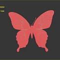 Colorful Butterfly With Green Brown Stripes And Blue Edges On Grey Background With Reflection