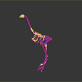 Detailed Ostrich Skeleton Display With Gray Background And Exhibition Setting