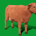 Brown Cow Standing on Green Background with Clear Shadow and Realistic Look