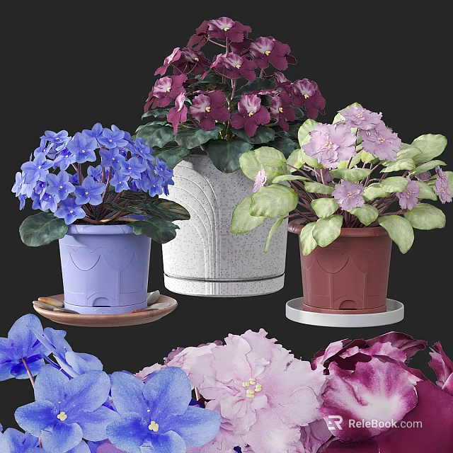Vibrant Garden Decorations With Purple Blue Pink Flowers And Various Flower Pots 3d model 