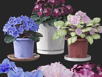 Vibrant Garden Decorations With Purple Blue Pink Flowers And Various Flower Pots 3d model