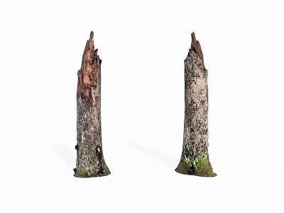 Two Rustic Wood Stumps With Bark Stone Base And Green Moss 3d model