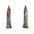 Two Rustic Wood Stumps With Bark Stone Base And Green Moss