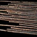 Trees Landscape Trees Scanning Trees Timber Wood Blocks Wood Firewood Cutting Wood Pile 3d model