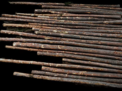 Natural Arbor Tree Logs Stacked as Wooden Materials for Building Projects 3d model