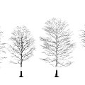 Modern Dead Tree Dead Branch 3d model