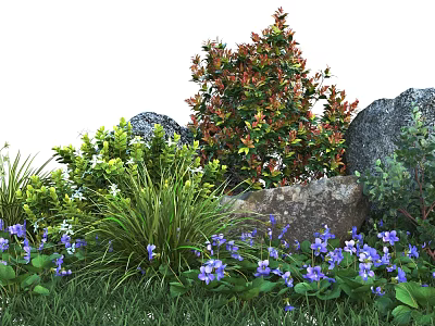 Colorful Shrubs With Red Green Leaves Purple Flowers Rocks And Grass 3d model