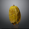 Fresh Yellow Pumpkin with Orange Spots and Long Shape on Black Background with Bottom Reflection