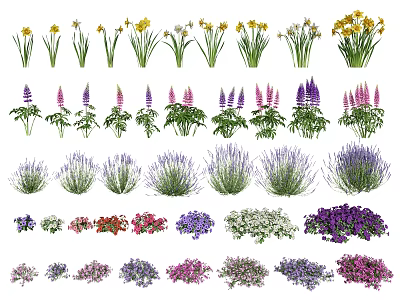 Modern plants and flowers 3d model